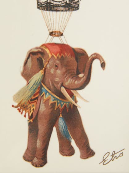 TRAY WITH EXOTIC ANIMALS