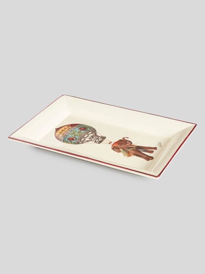 TRAY WITH EXOTIC ANIMALS