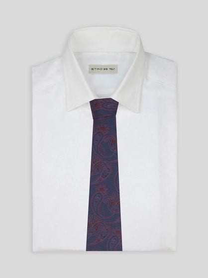 PAISLEY SILK TIE