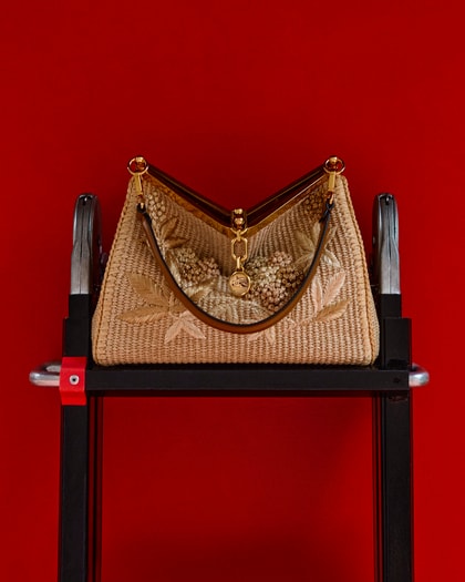 Etro Vela bag in front of a red wall