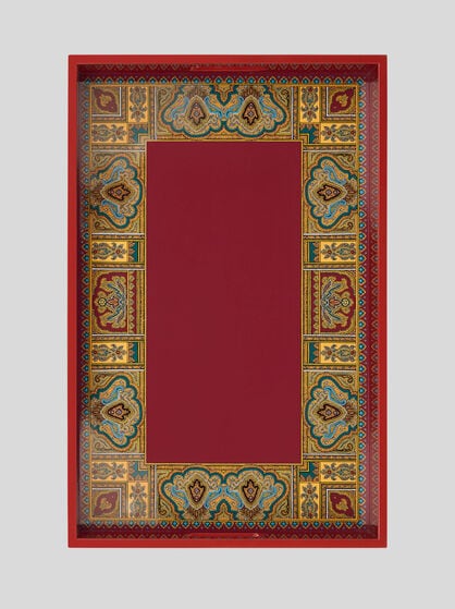 PLEXIGLASS TRAY